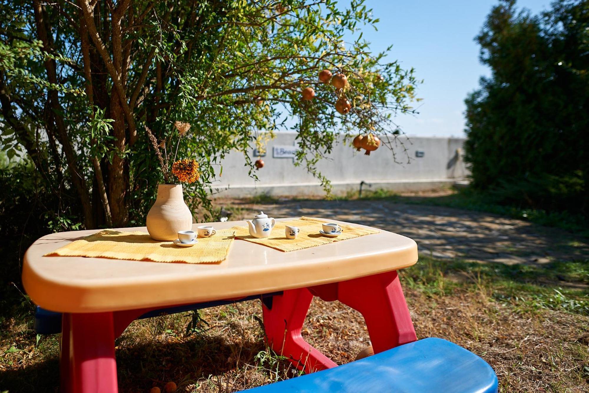 סוזופול Guest House Dima מראה חיצוני תמונה